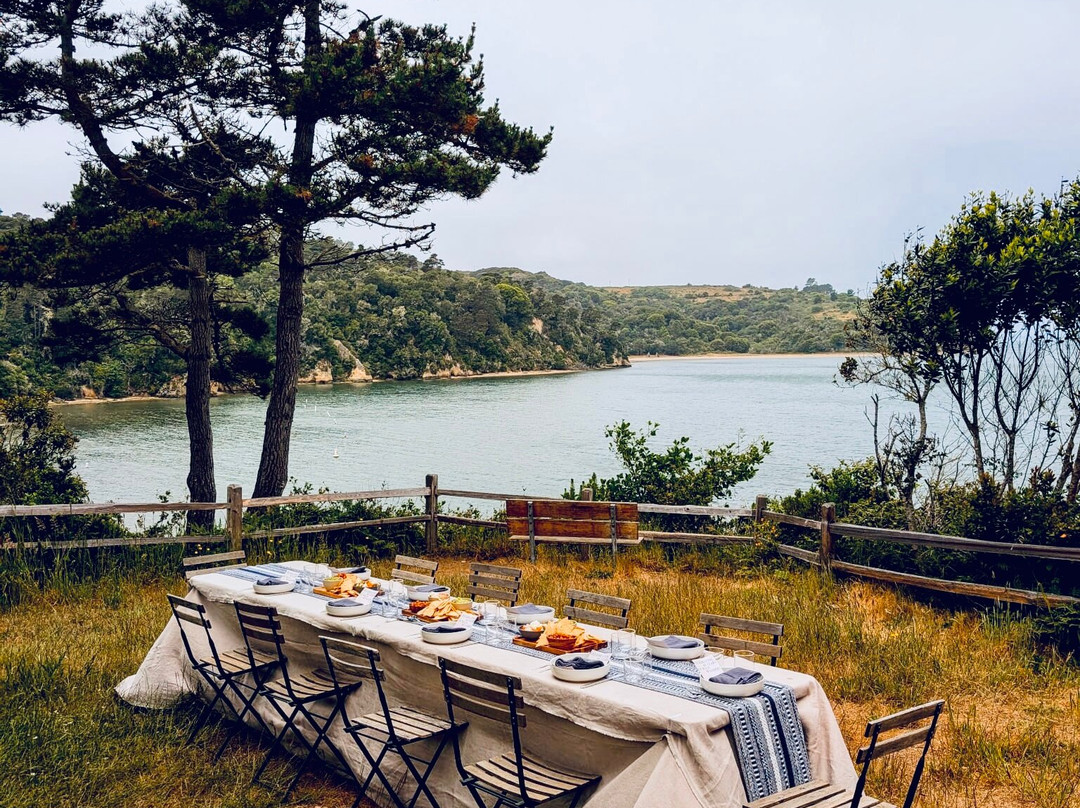 Blue Waters Kayaking-Point Reyes Station必去景点