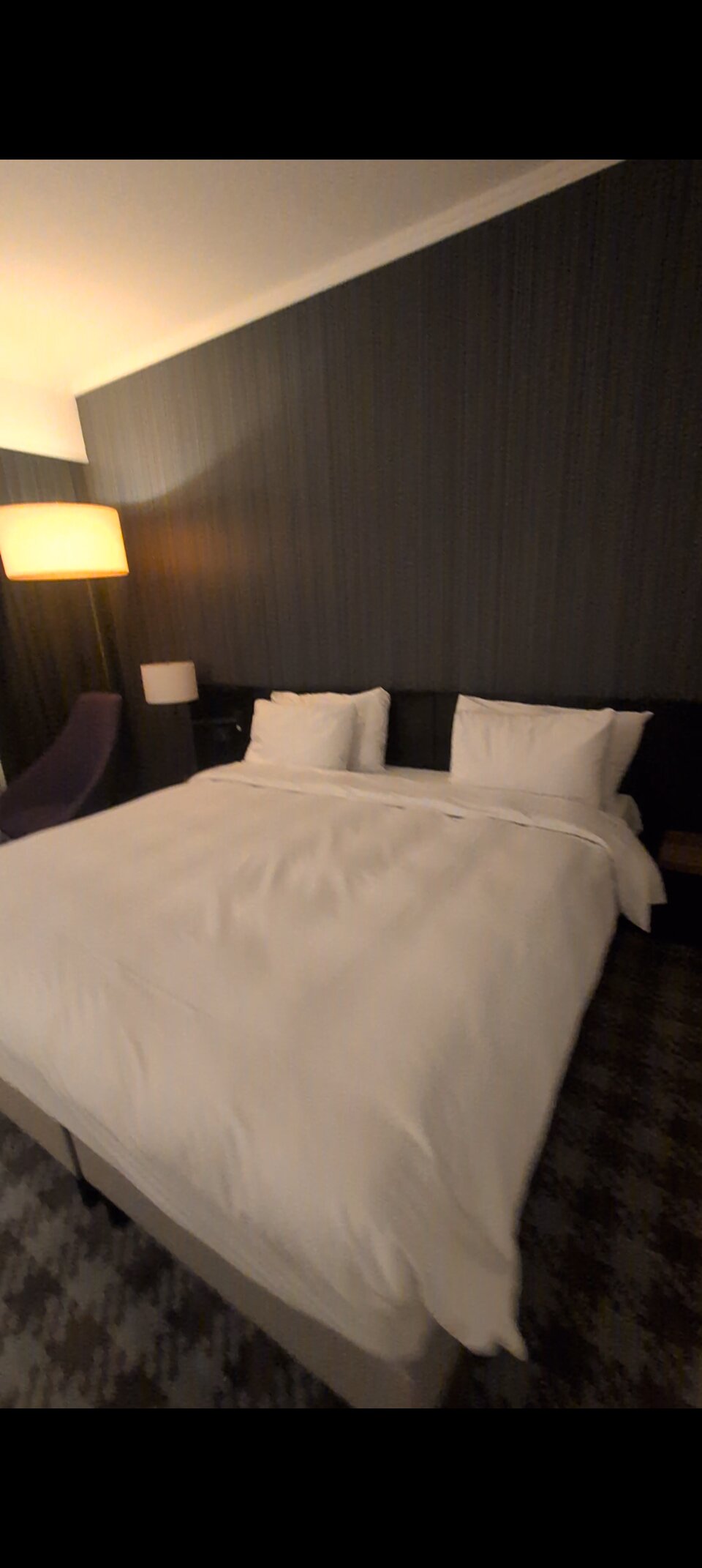 Radisson Blu Hotel Amsterdam Airport, Schiphol-客卧