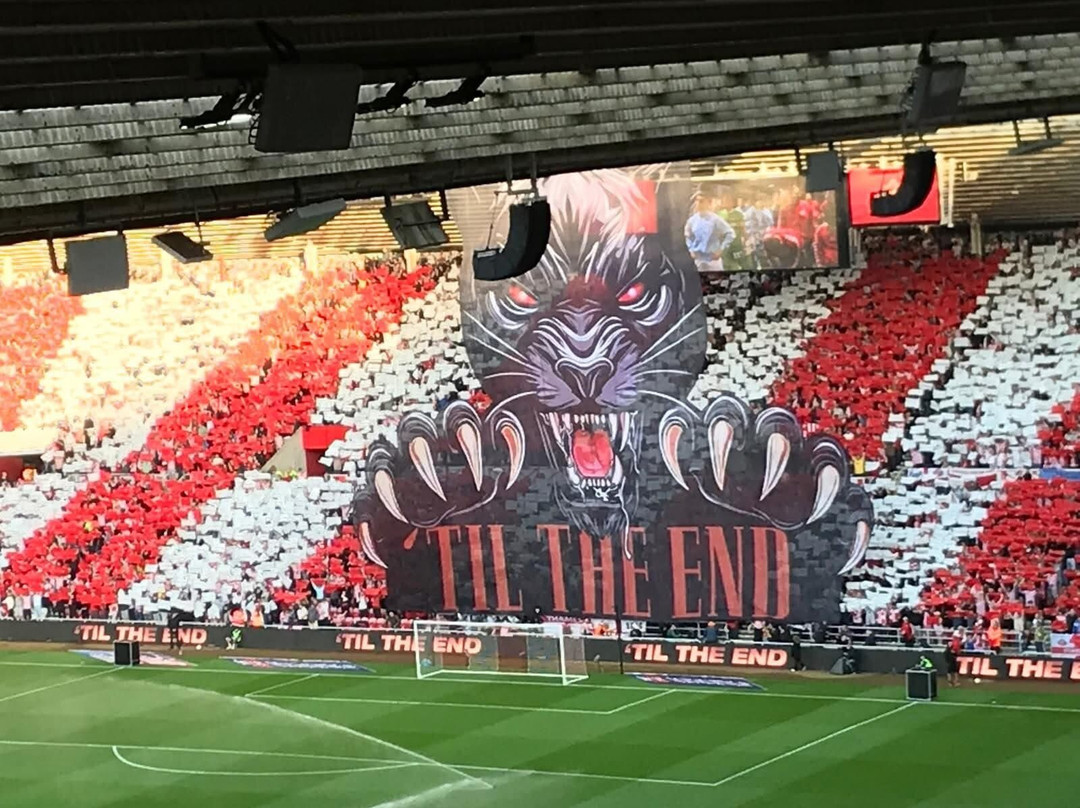 Stadium Of Light-桑德兰必去景点