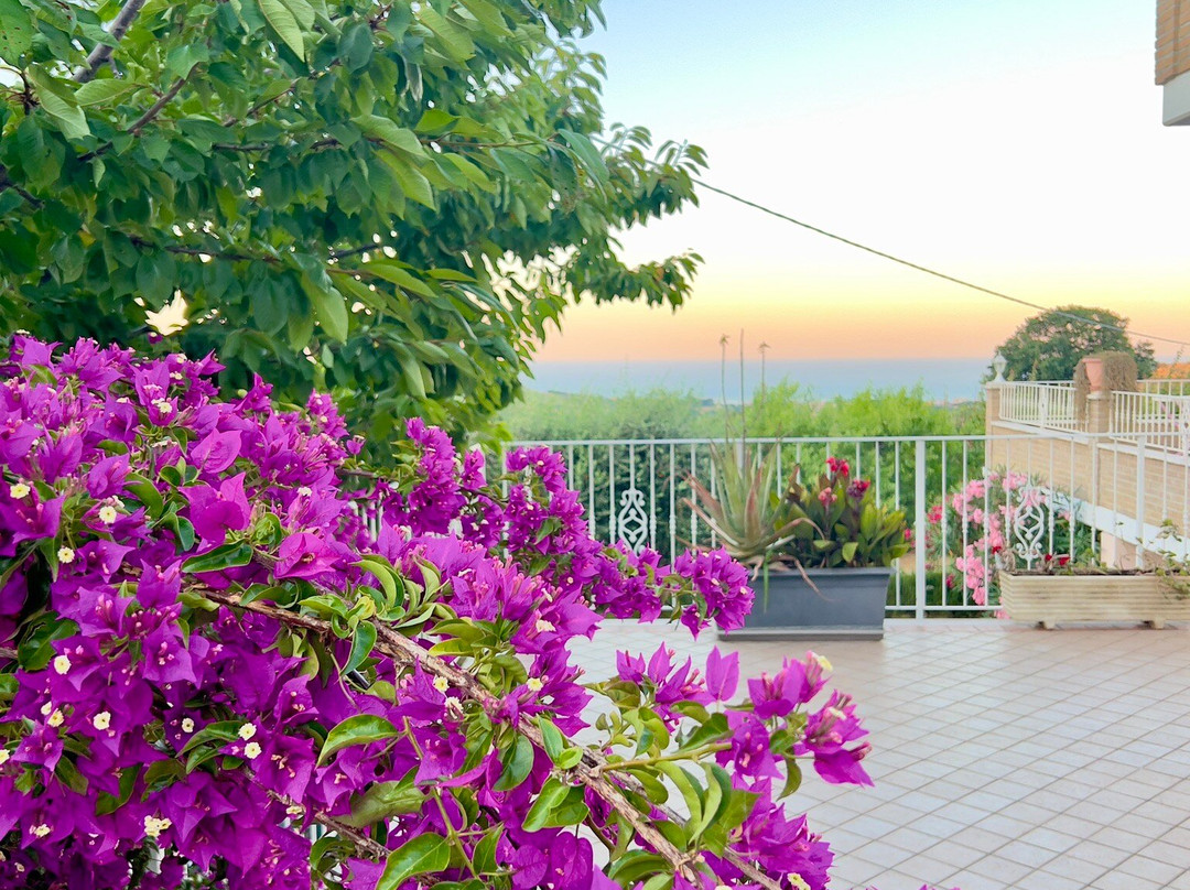 B&B Il Giardino Mediterraneo主图