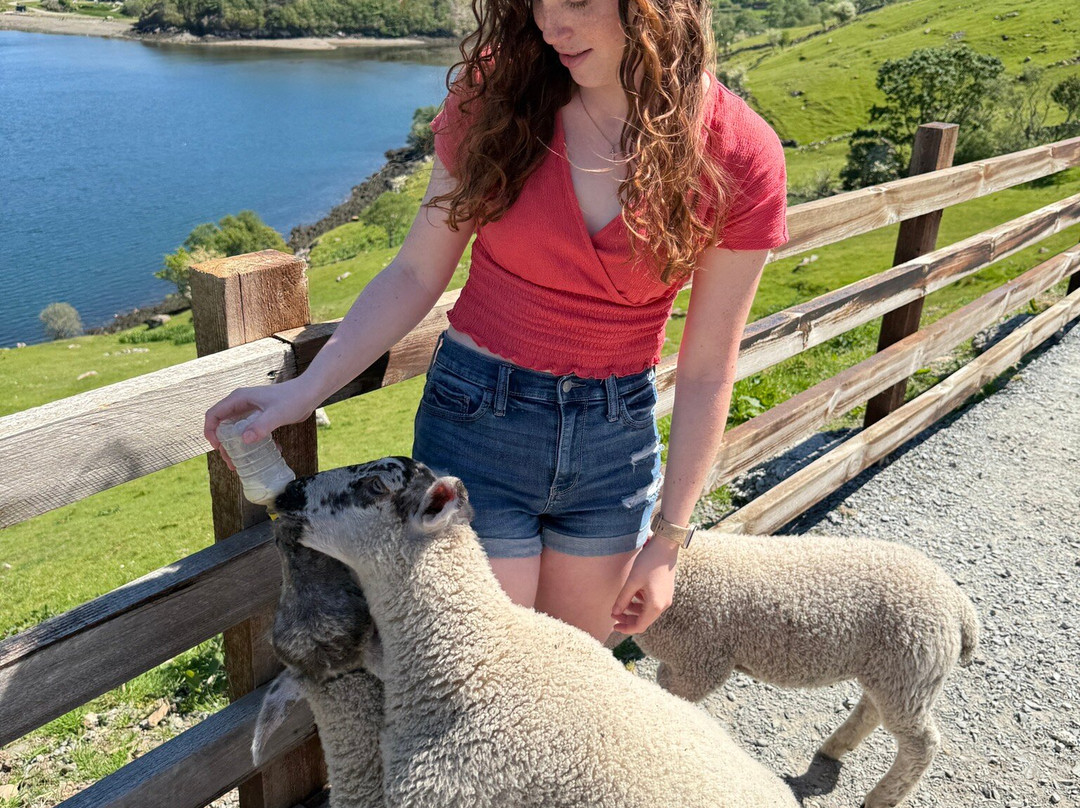 Killary Sheep Farm-Leenane必去景点