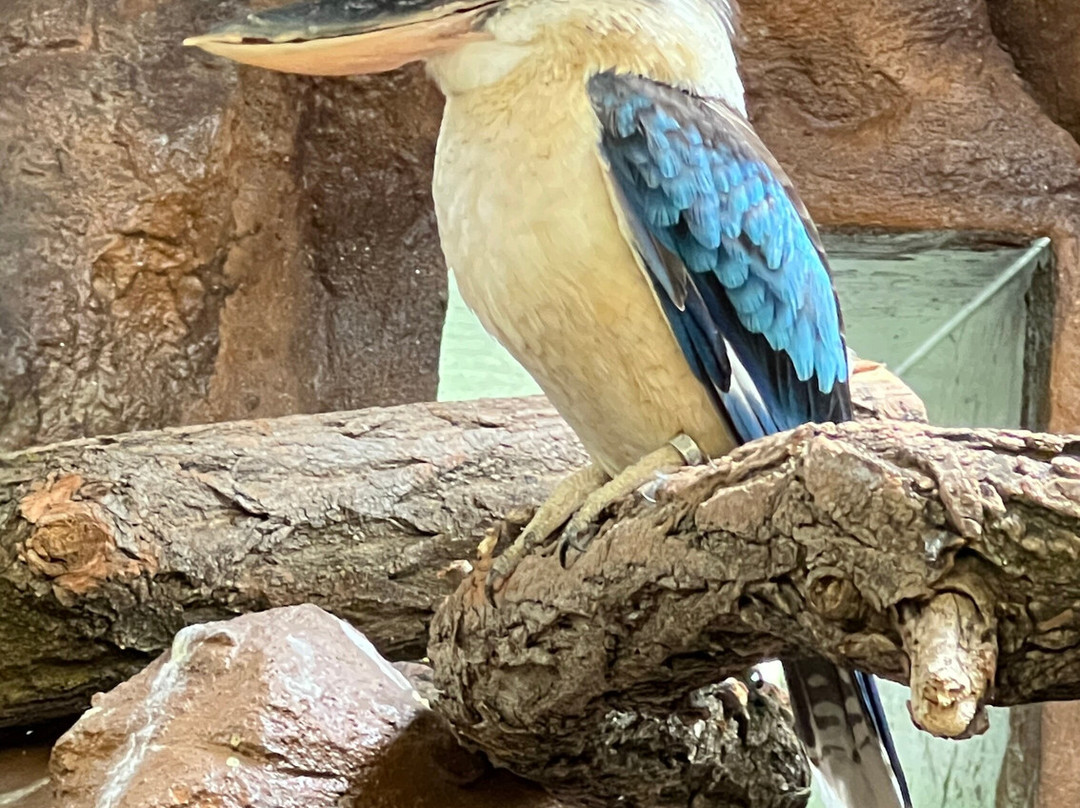 Zoo Hodonin-Hodonin必去景点