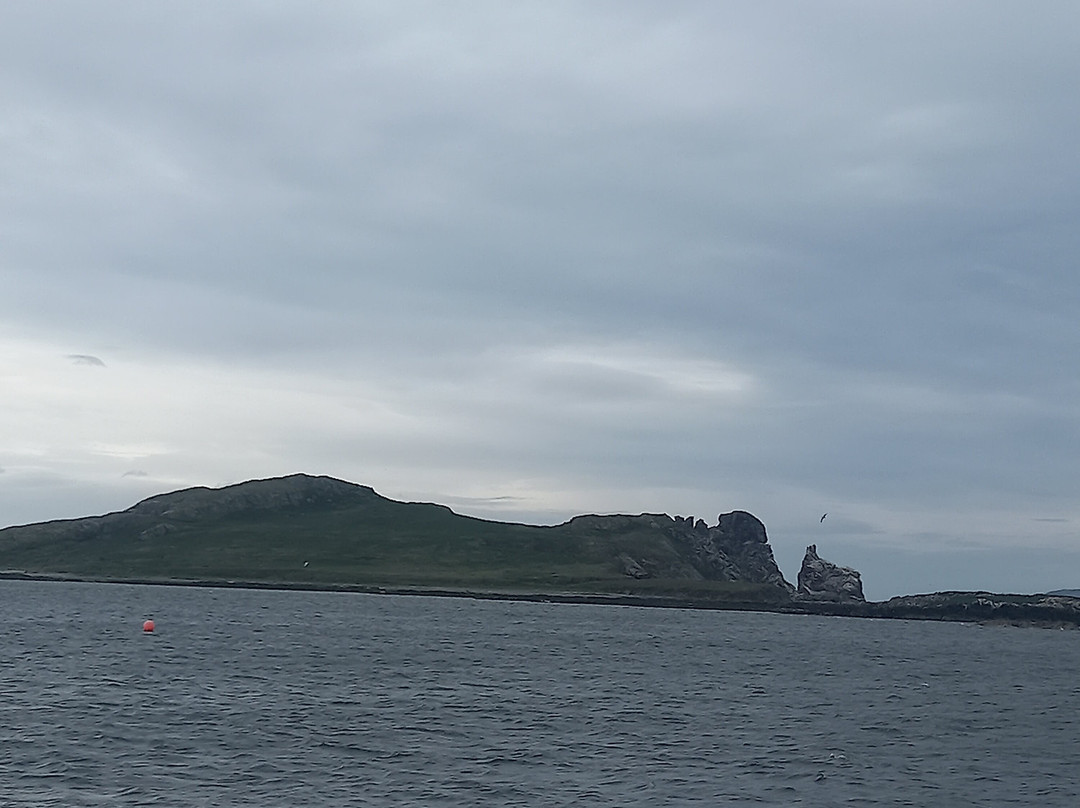 Howth Cliff Cruises-霍斯必去景点