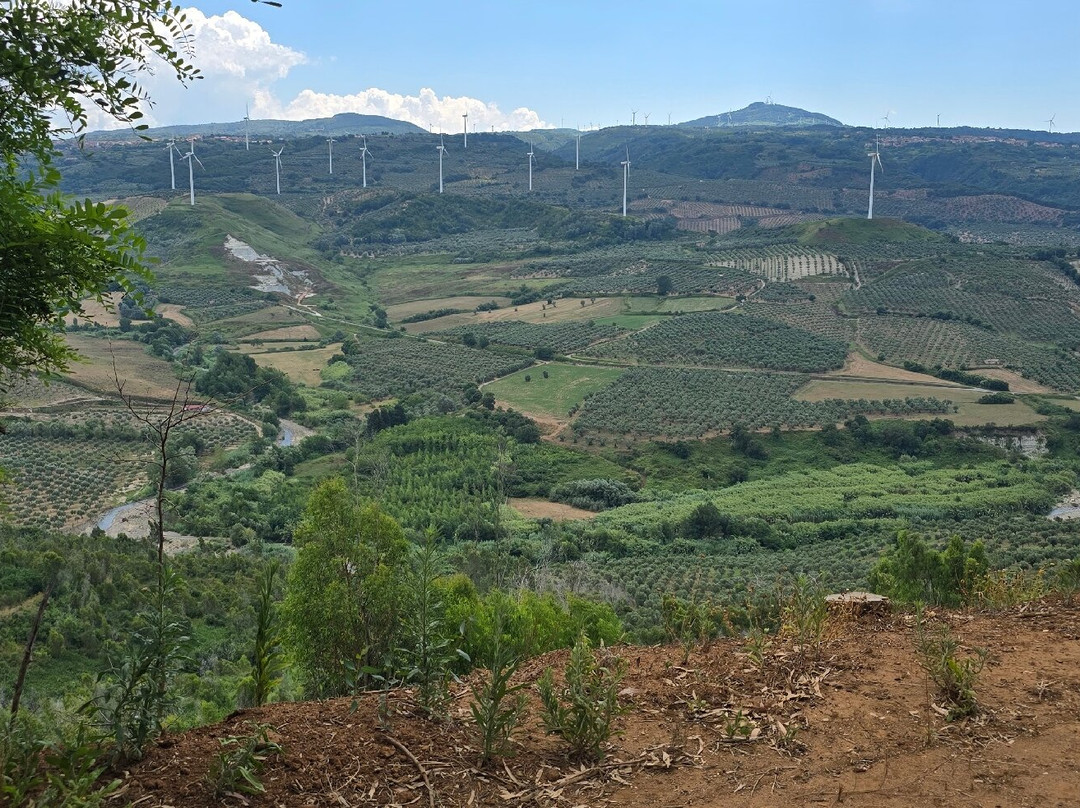 Feudo delle Querce azienda agrituristica主图