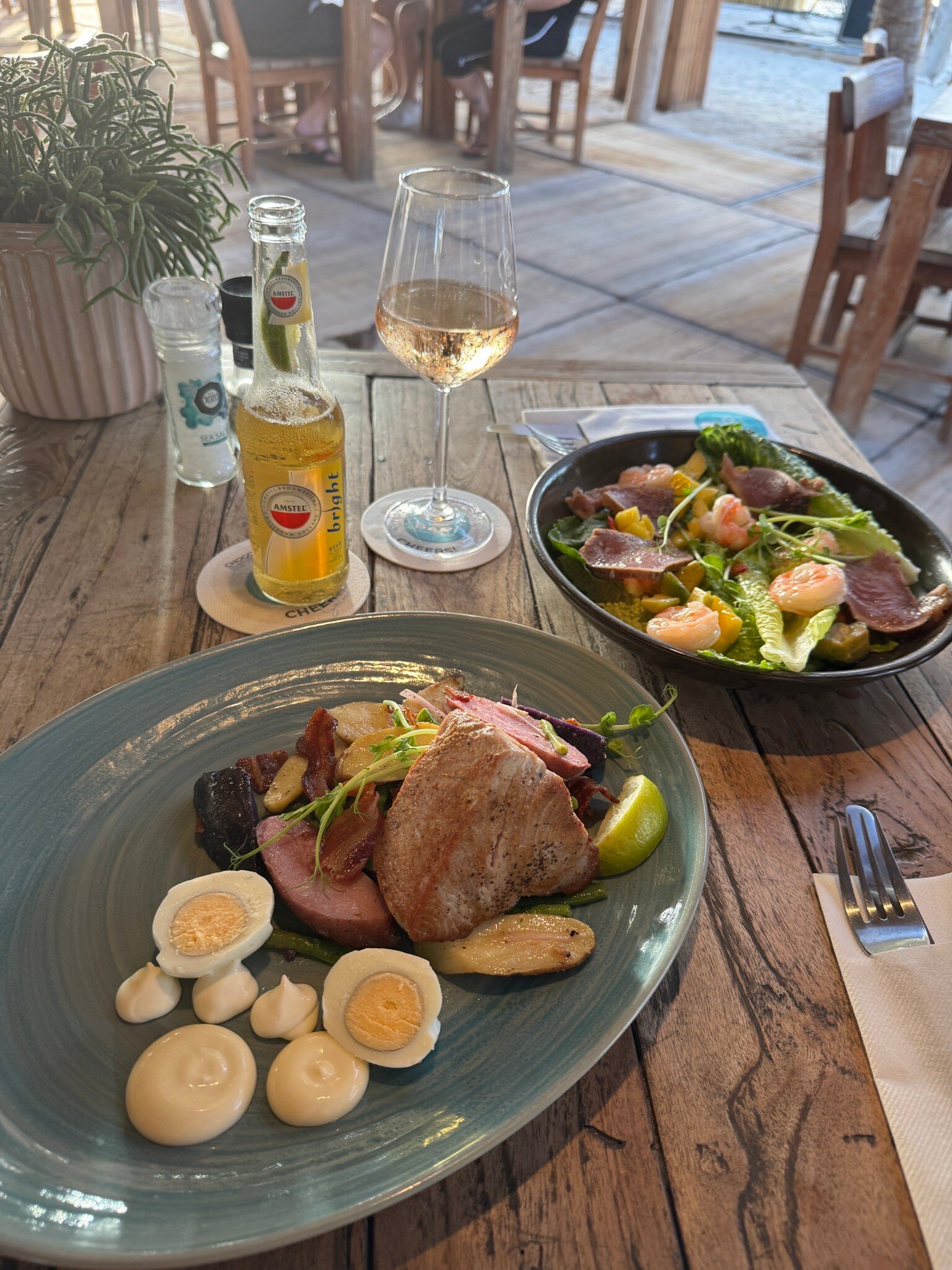 Chogogo Dive & Beach Resort Bonaire-官方
