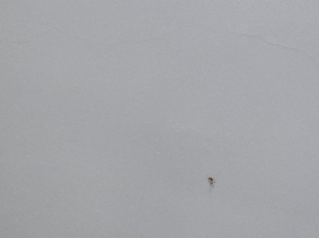 阿伦敦/怀特霍尔华美达酒店主图