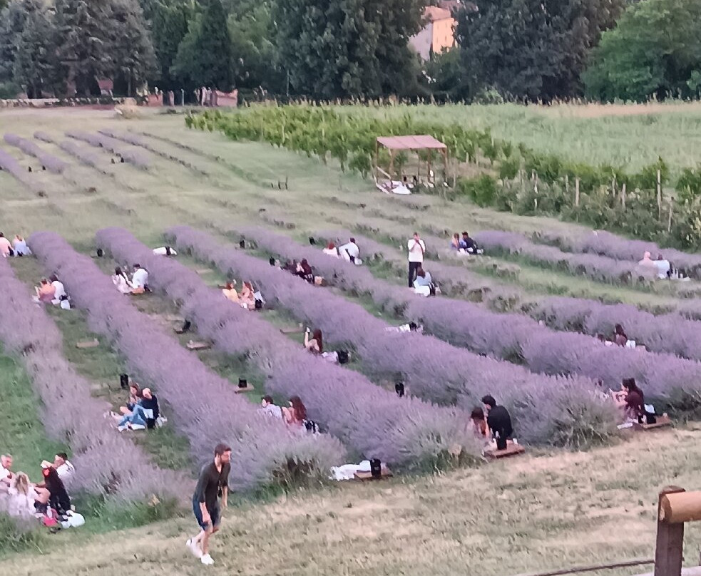 Azienda Agricola Valtresinaro-Viano必去景点