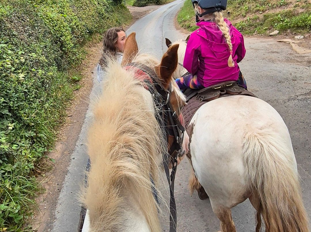 Llangorse Multi Activity Centre-Llangorse必去景点