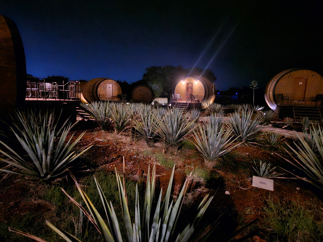 Matices Hotel de Barricas主图