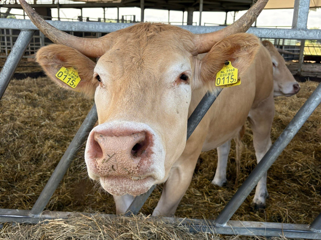 Harm's Hoeve-Malden必去景点