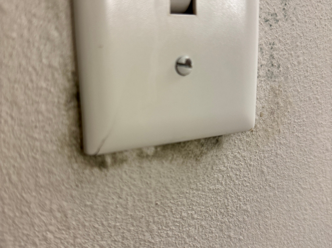 SpringHill Suites by Marriott Hampton主图