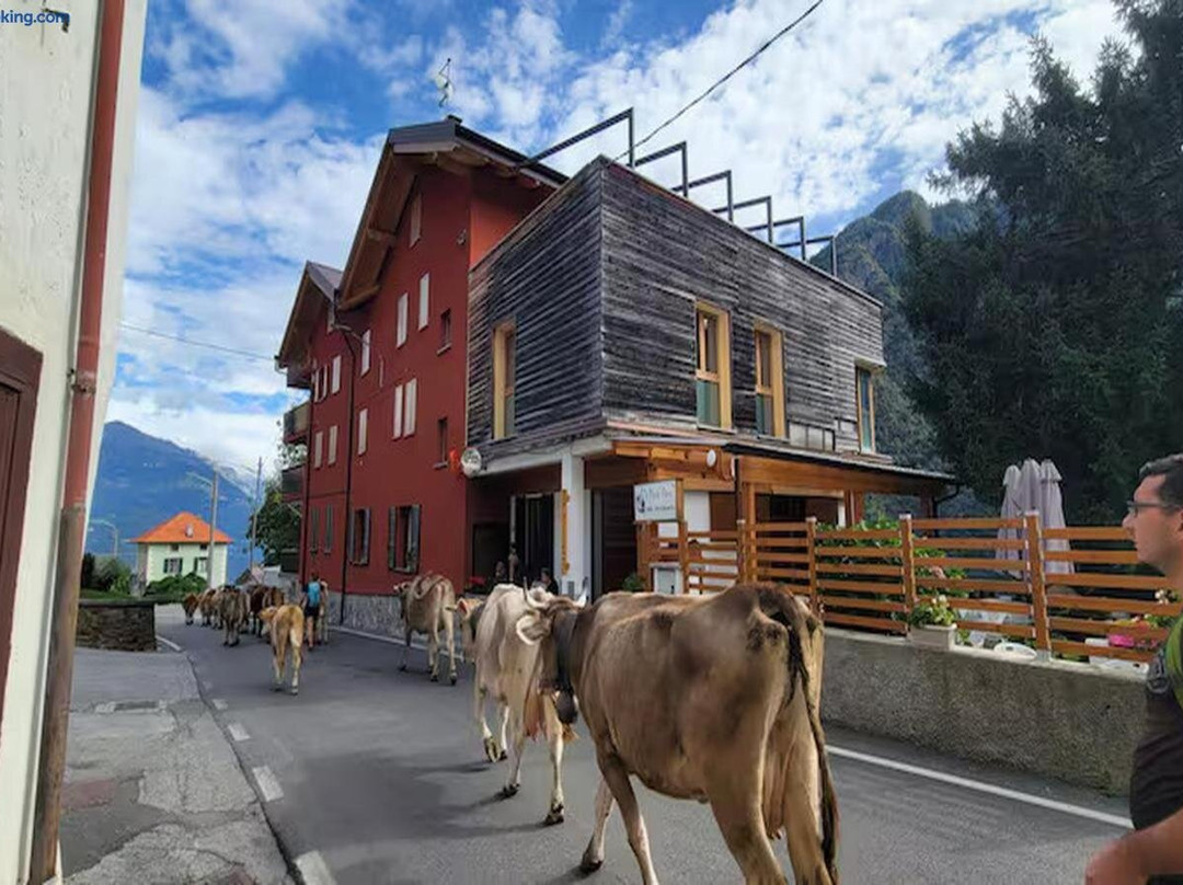 Residence Val Gerola