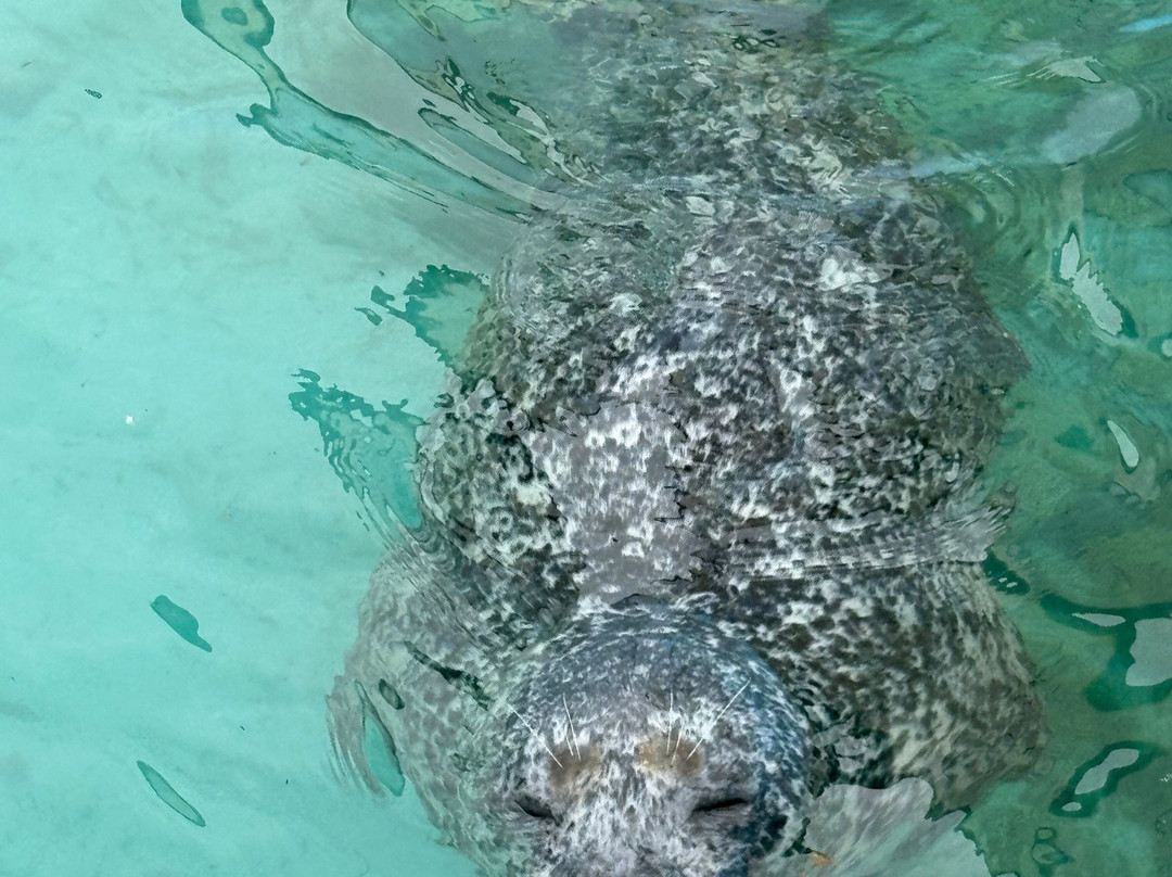 室兰市立水族馆-室兰市必去景点
