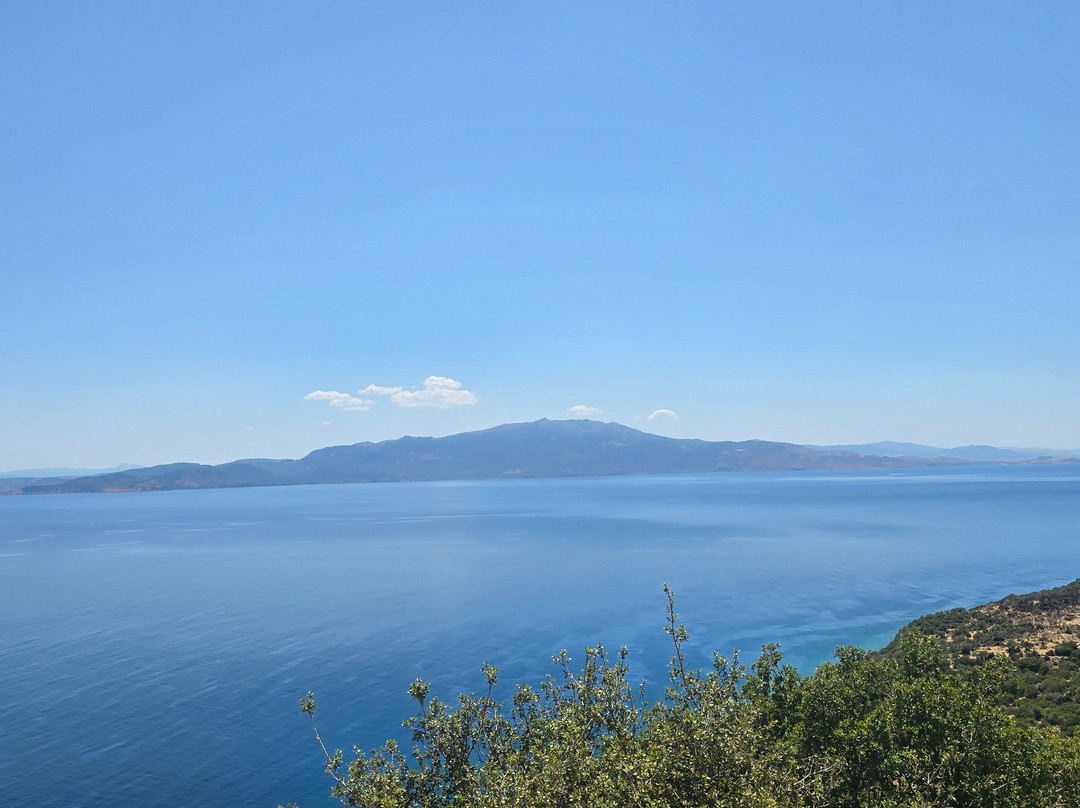 Assos Assinos