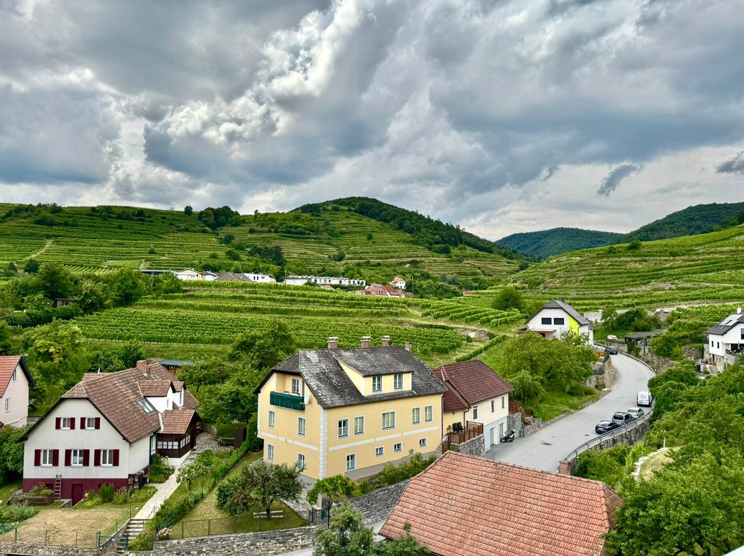 Hotel Kirchenwirt Wachau主图