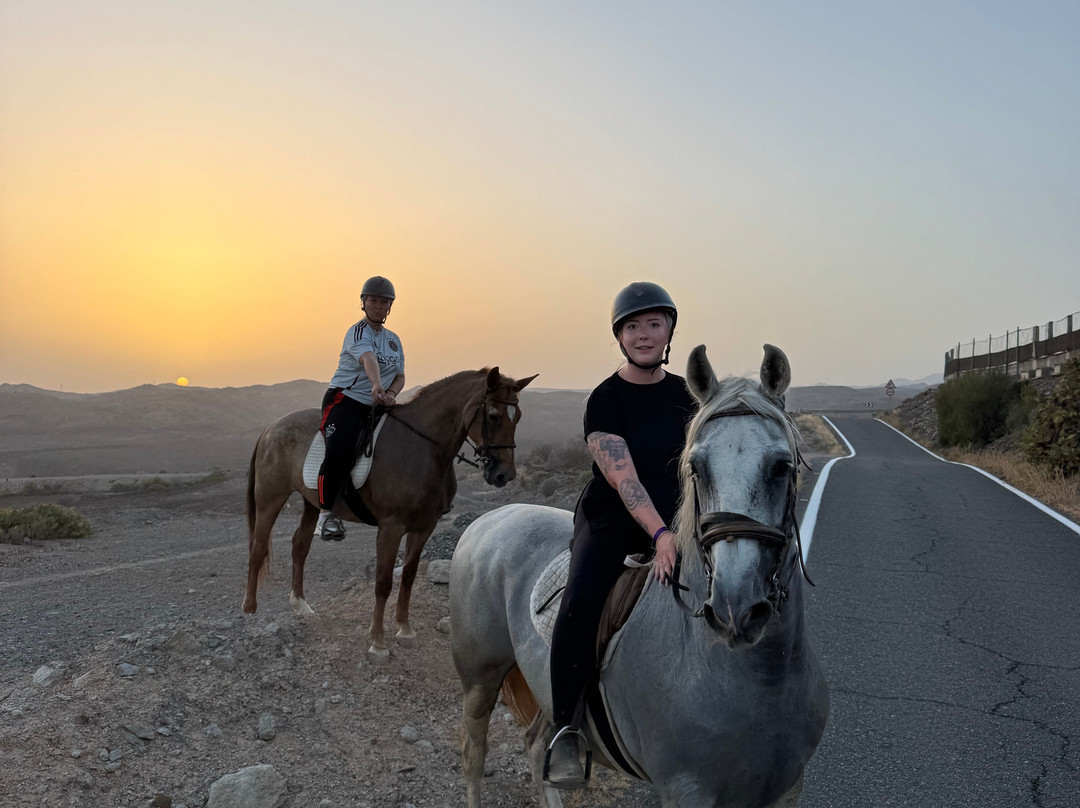 El Salobre Horse Riding-马斯帕洛马斯必去景点