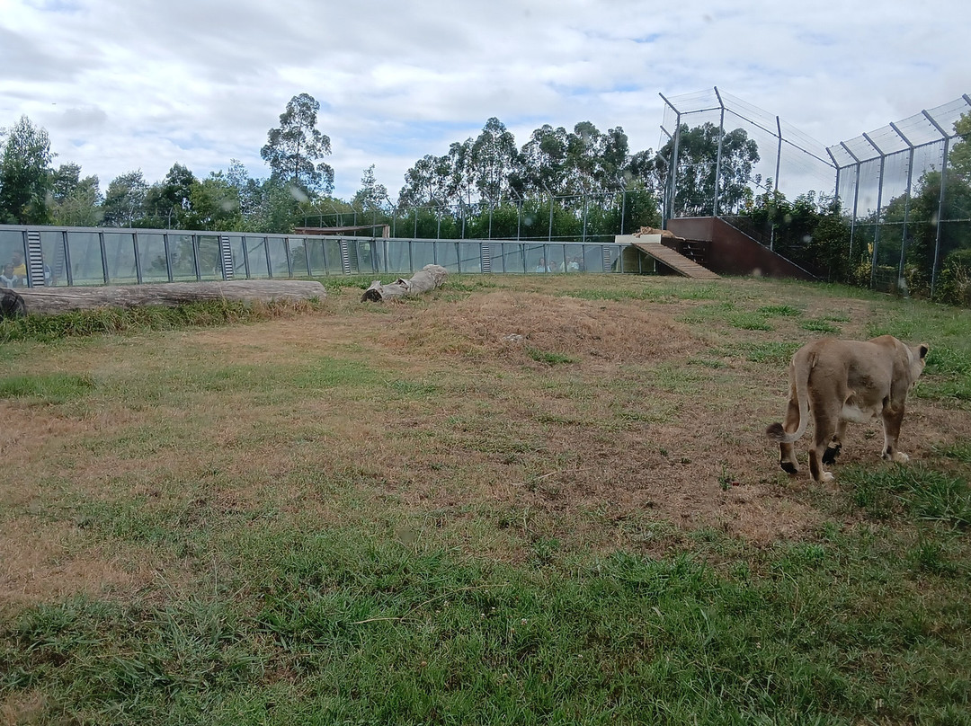 Zoo Santo Inácio-加亚新城必去景点