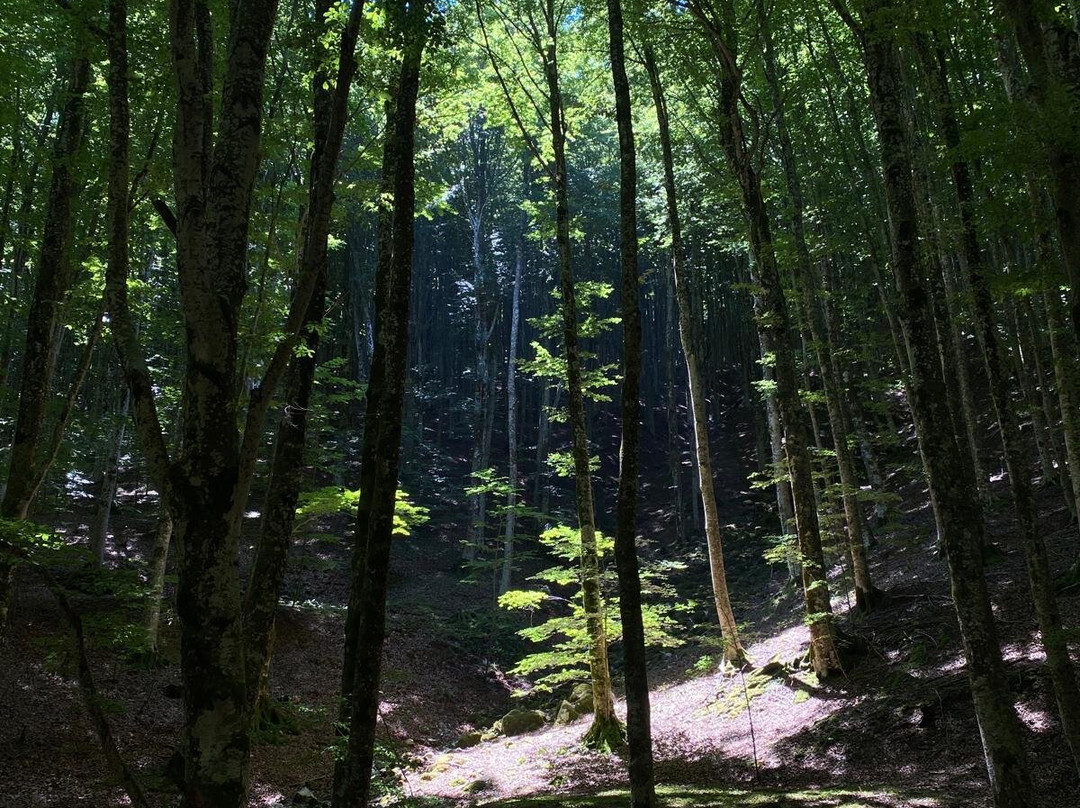 Cartotrekking-阿杰罗拉必去景点