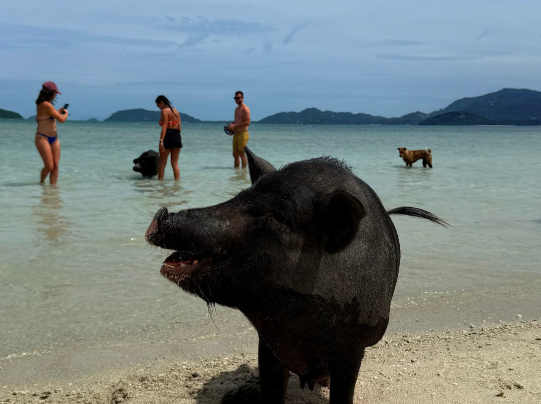 Ocean King Samui-利巴诺伊必去景点