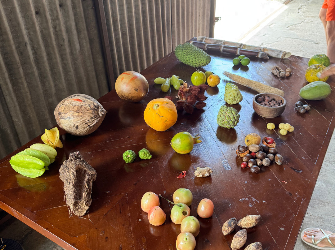 Belmont Estate Grenada-Belmont必去景点