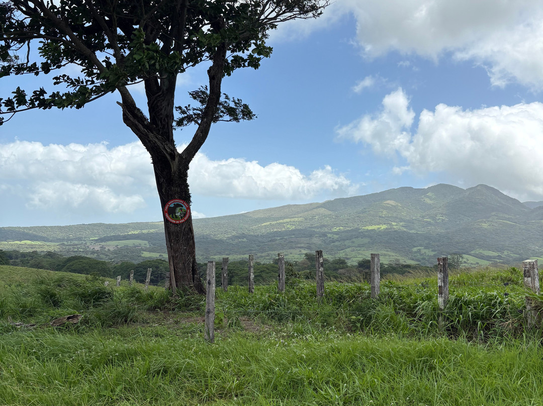 Costa Rica Adventure Thrills-萨迪纳尔必去景点
