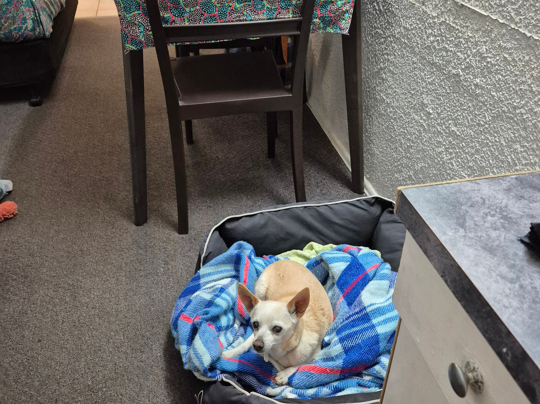 珊瑚别墅汽车旅馆主图