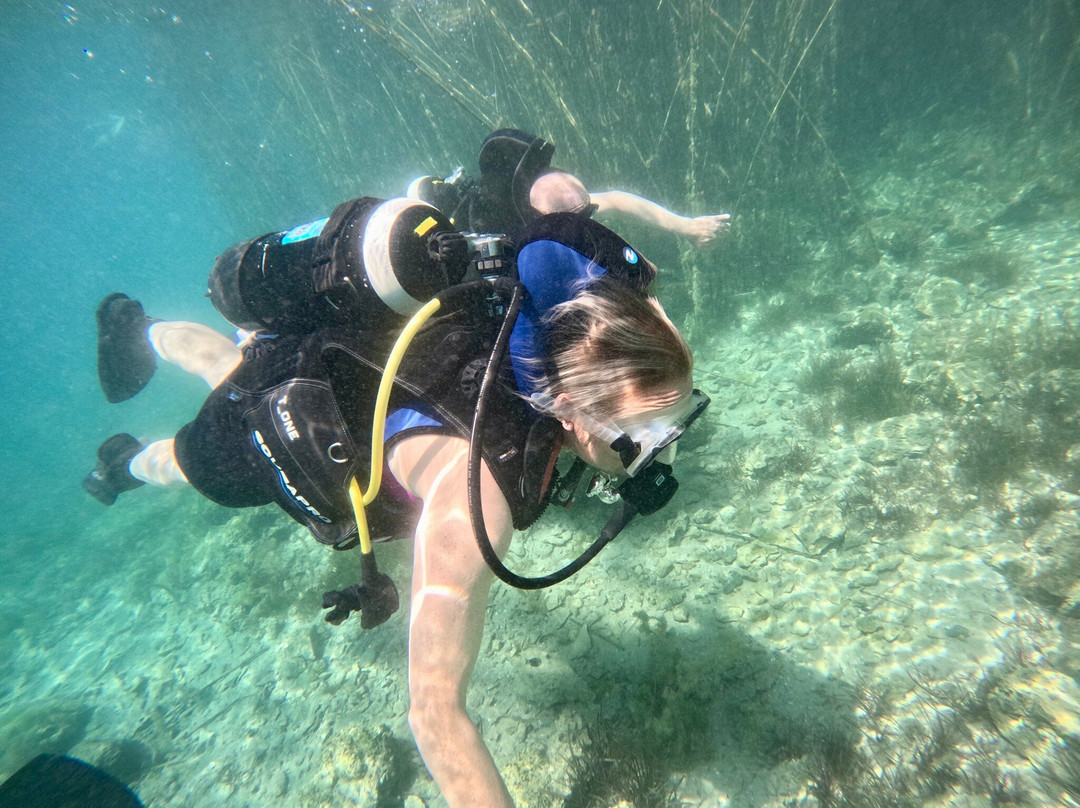 Diving Center Amfora-奥赫里德必去景点