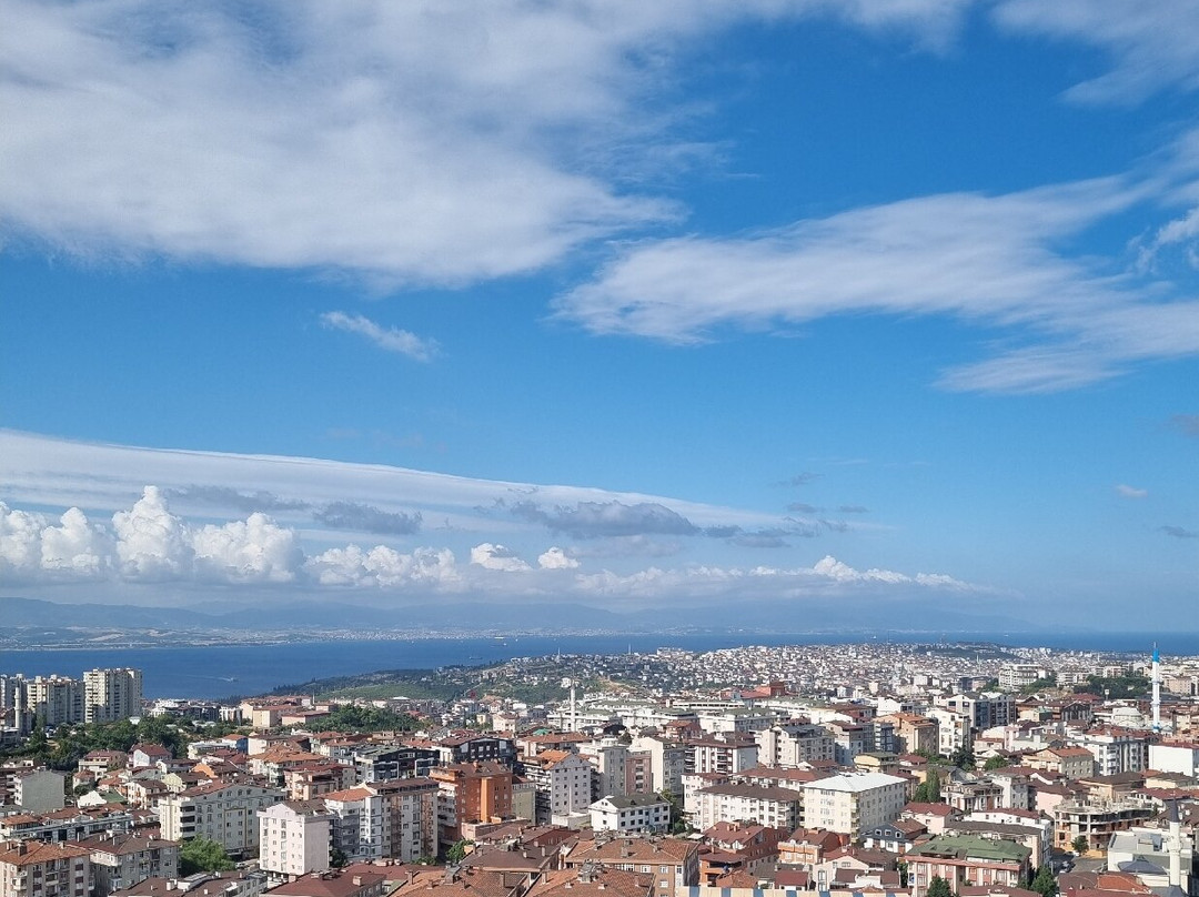 Hyatt House Gebze主图