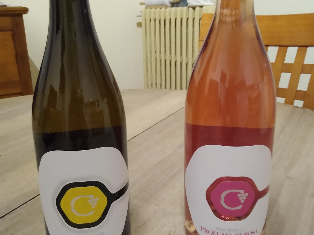 Cantina Centianni-Montefiore dell'Aso必去景点