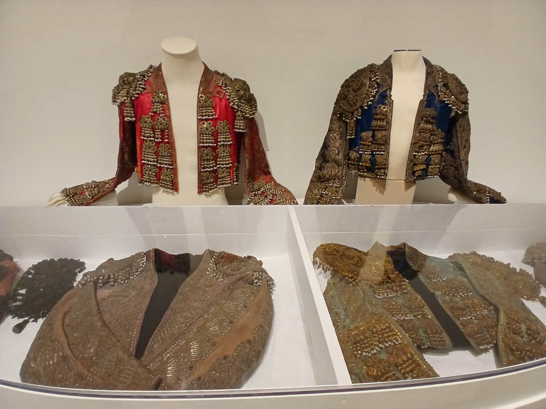 Musée des cultures taurines-尼姆必去景点