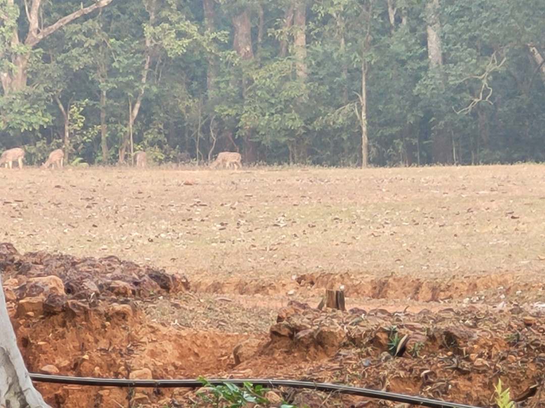 Barehipani Falls-Mayurbhanj District必去景点