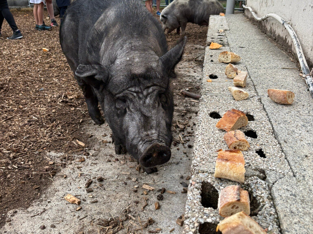 La Ferme du Rialet-La Llagonne必去景点