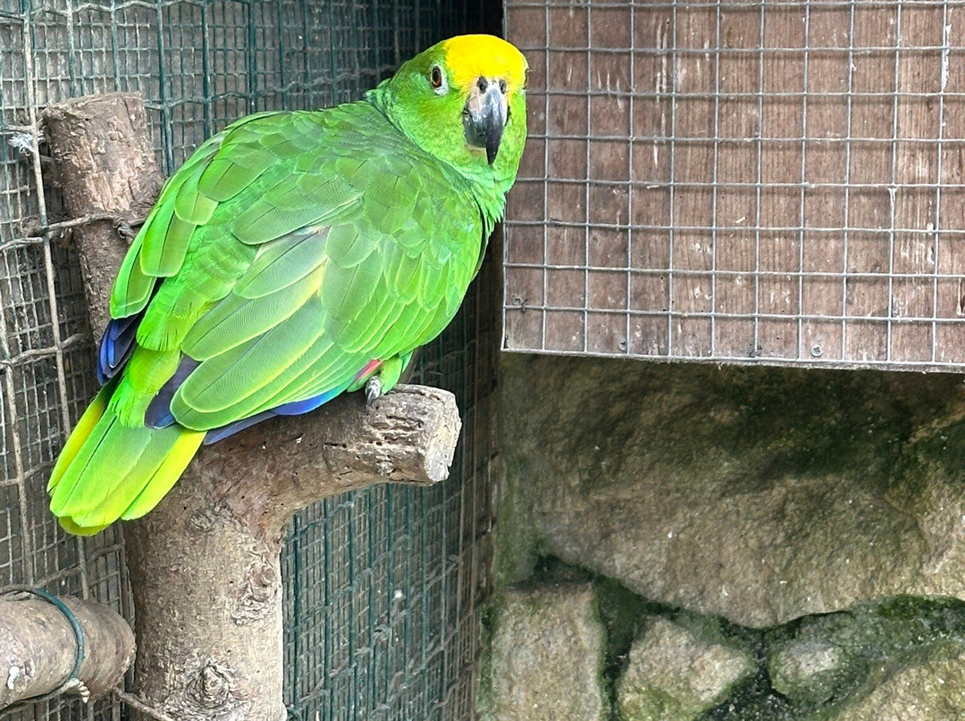 Zoologico El Bosque-奥维耶多必去景点