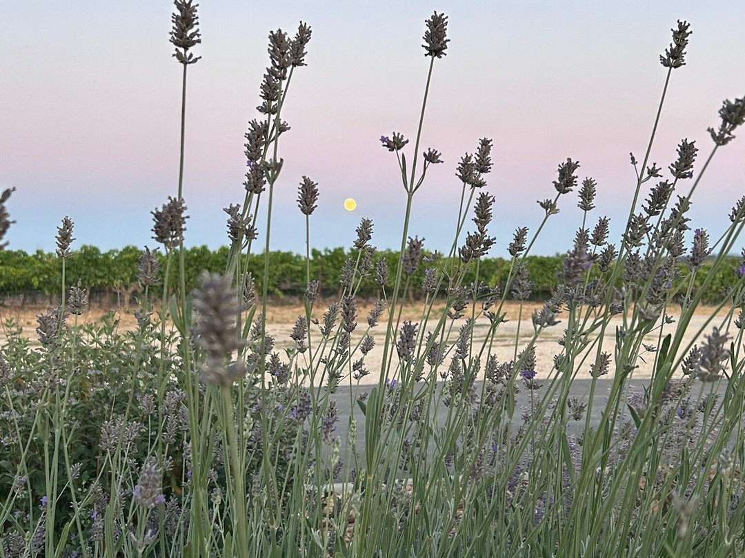 Commanderie de la Bargemone-Saint-Cannat必去景点