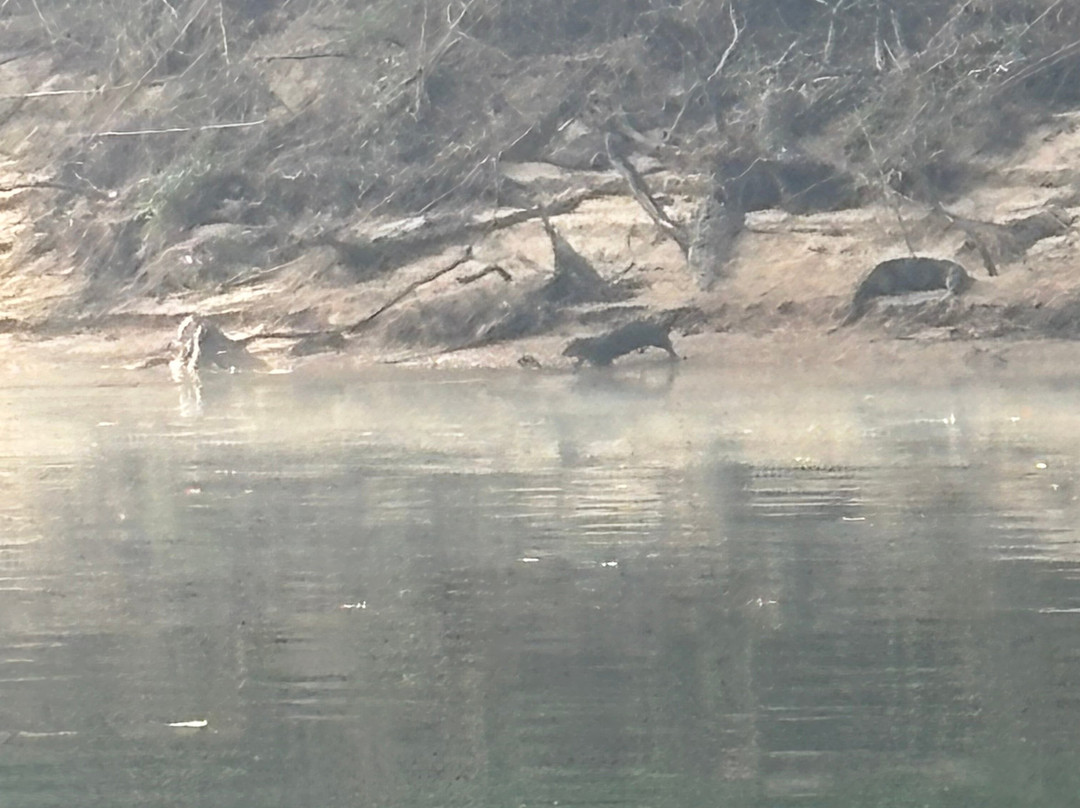 Ryan's White River Guide Service-尤里卡斯普林斯必去景点