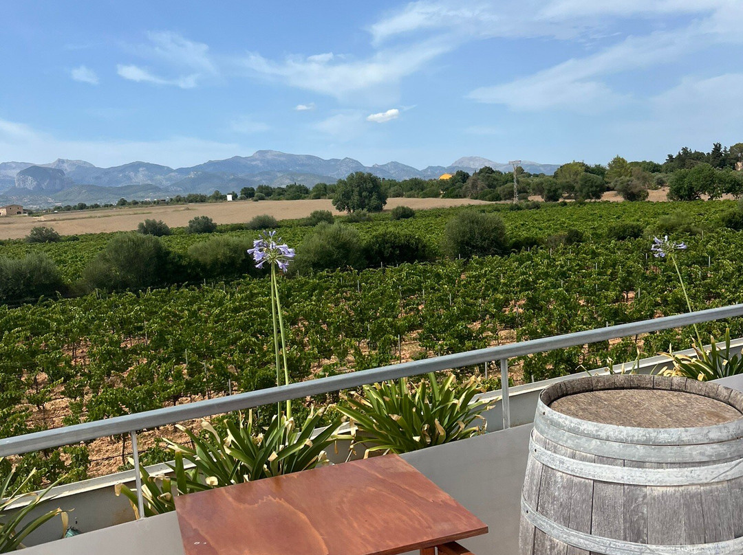 Son Juliana-Santa Eugenia必去景点