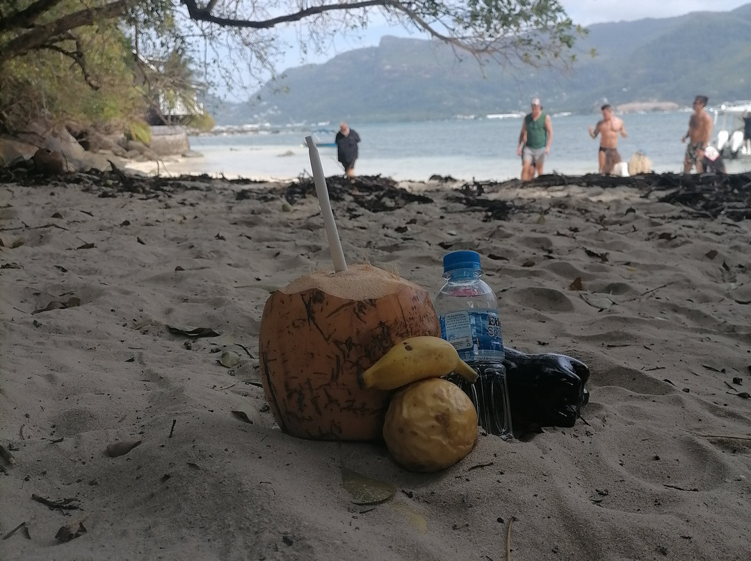 Rocco Locco Boat Charter & Tour-伊甸岛必去景点