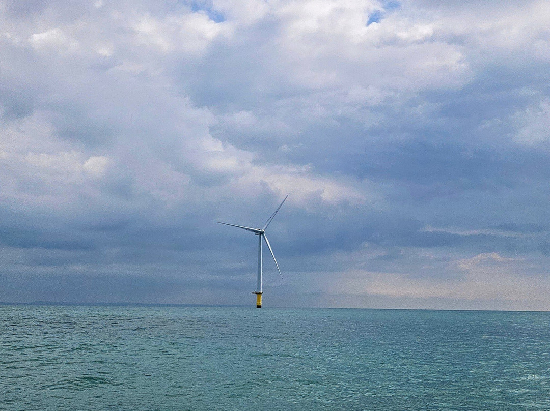 Sussex Boat Trips-Newhaven必去景点