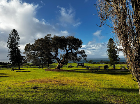 墨尔本中文小团精致游-墨尔本必去景点