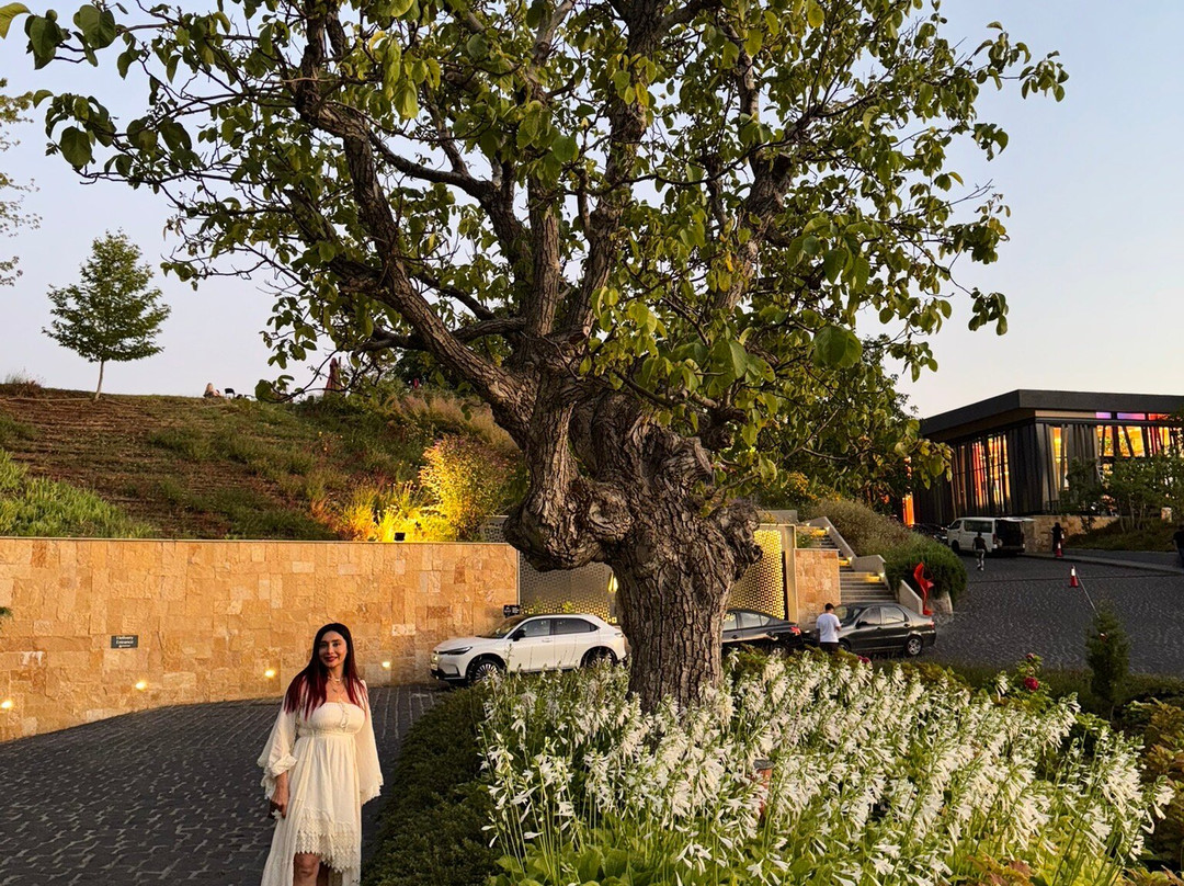 Mist Hotel & Spa主图