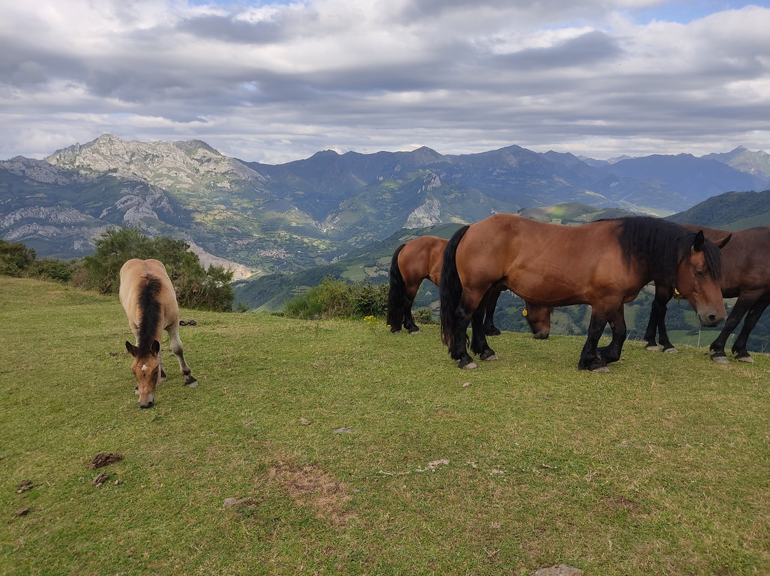 Mirador Coto Bello-Bello必去景点