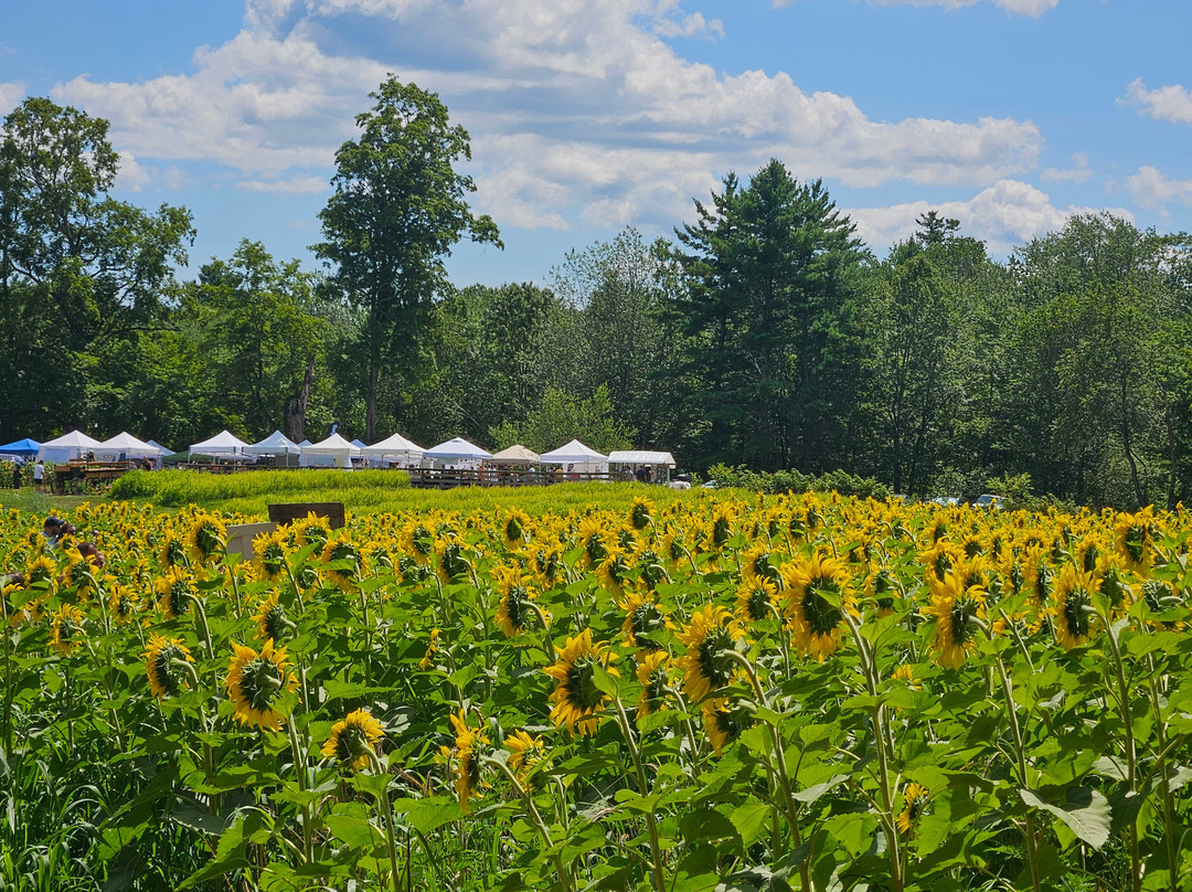 Coppal House Farm-Lee必去景点