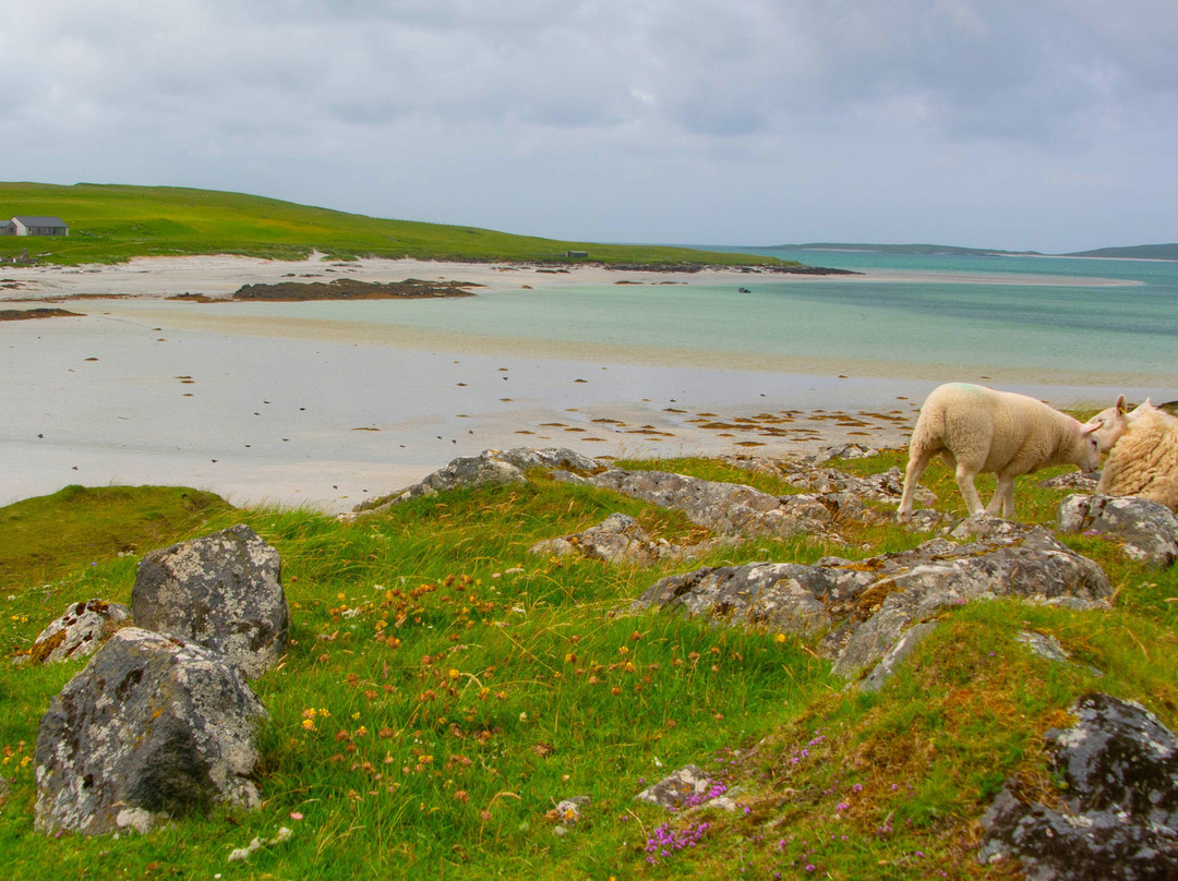Hebridean Way-Vatersay必去景点