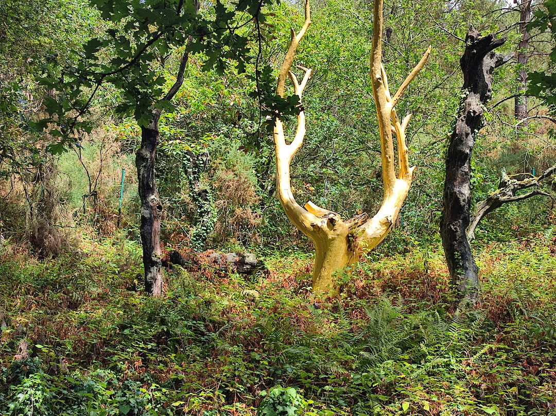 Paimpont Forest-Paimpont必去景点