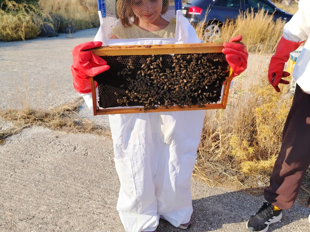 So! Bee-纳夫普利翁必去景点