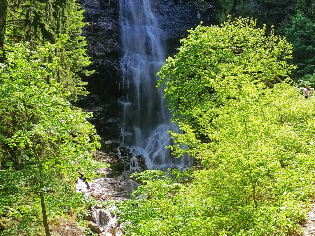 Pensiunea Bucura主图