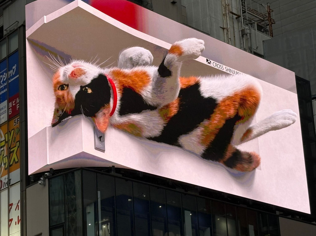 Giant 3d Cat Display Billboard