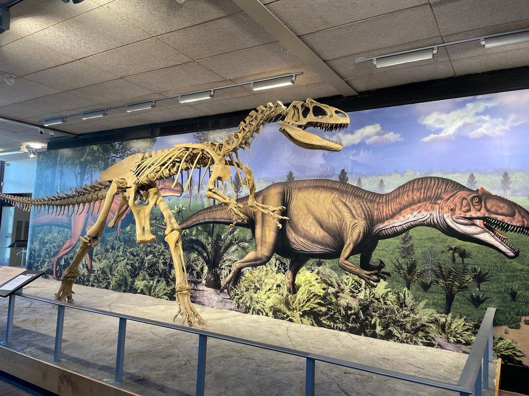 Dinosaur National Monument-Jensen必去景点