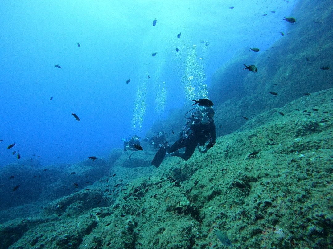 Oxygene Plongée-维琪奥港必去景点