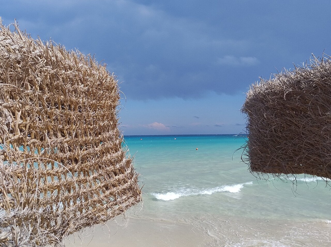 Ficodindia-奥特朗托必去景点